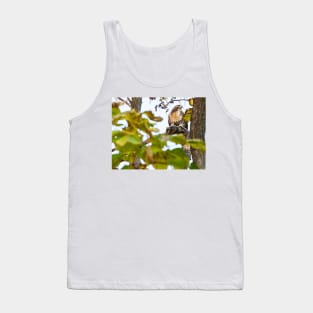 Red Tailed Hawk with squirrel in tree ideal wildlife lovers Tank Top